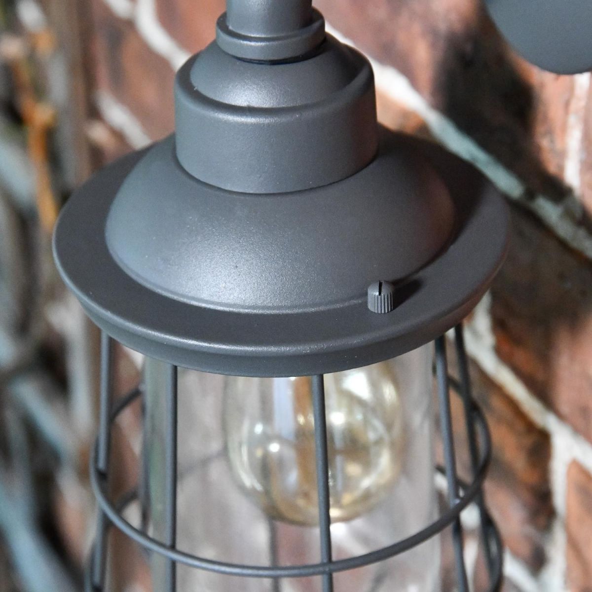 Close-Up of Bulb Structure