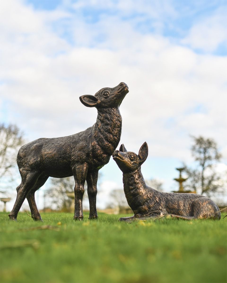"Bramble" and "Juniper" In Situ  "Bramble" and "Juniper" In Situ