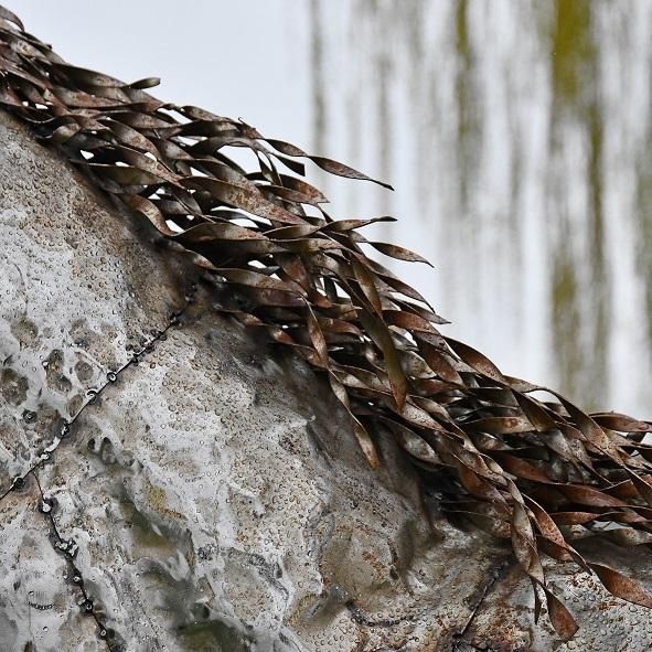 Equine Garden Sculpture
