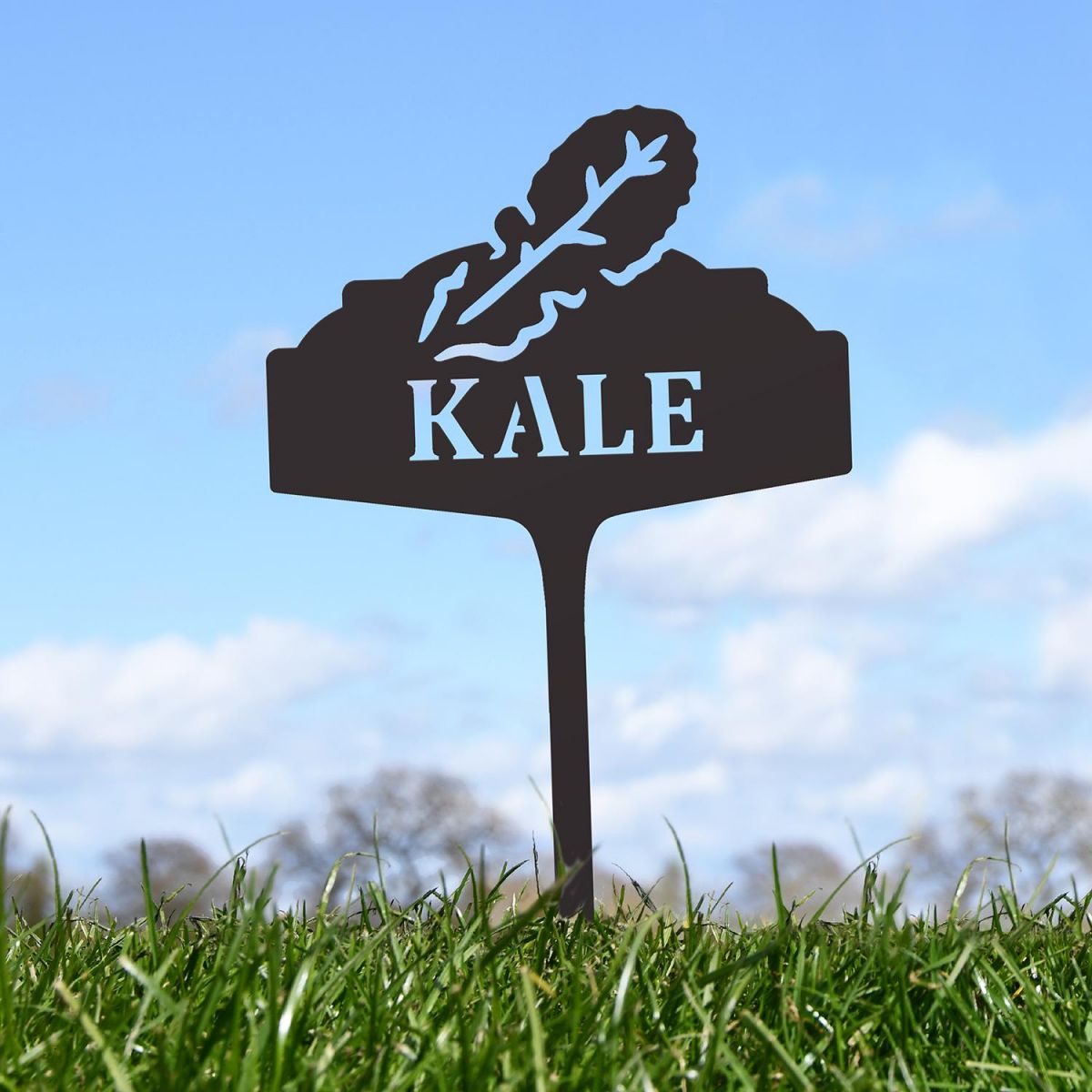 "Kale" Vegetable Label in Situ