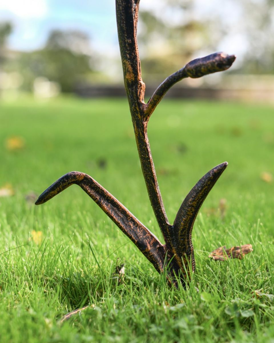 Close up of low section of Reed 