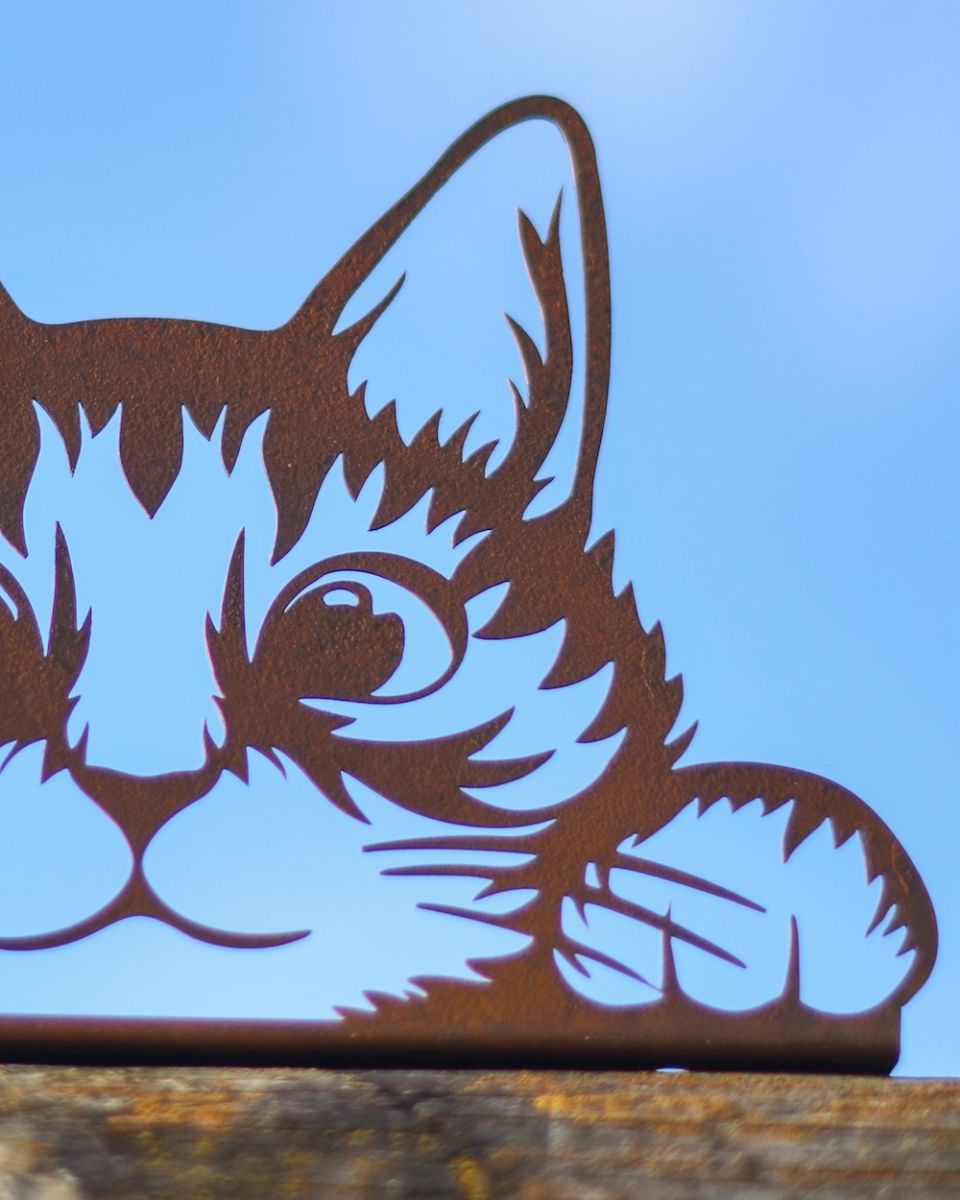 Close up of cat face detail on fence topper Close up of cat face detail on fence topper