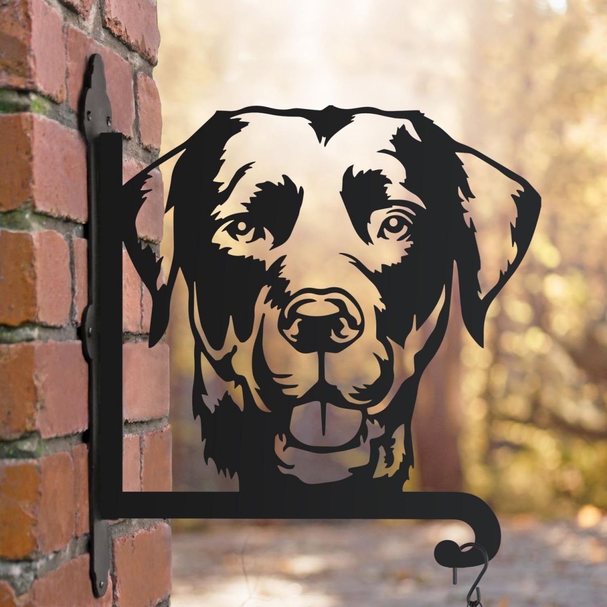 Labrador hanging basket bracket in the woods