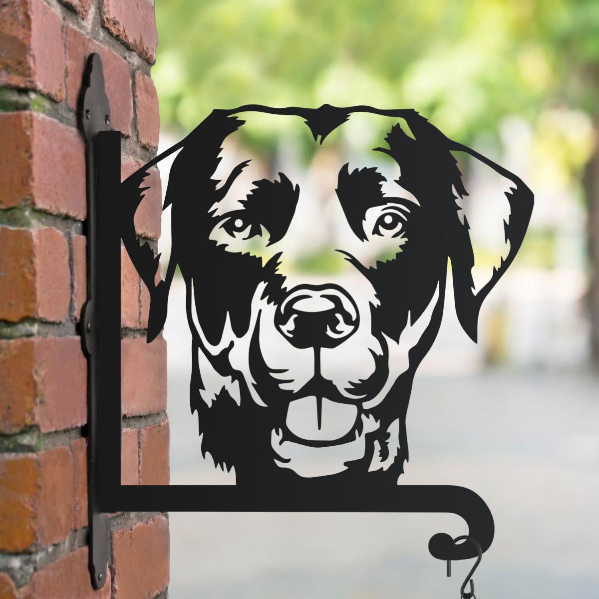 Labrador hanging basket bracket in the park