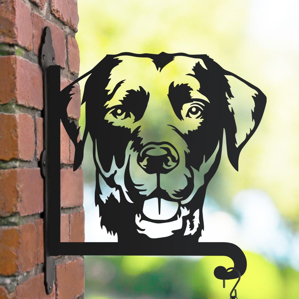 Labrador hanging basket bracket in the countryside