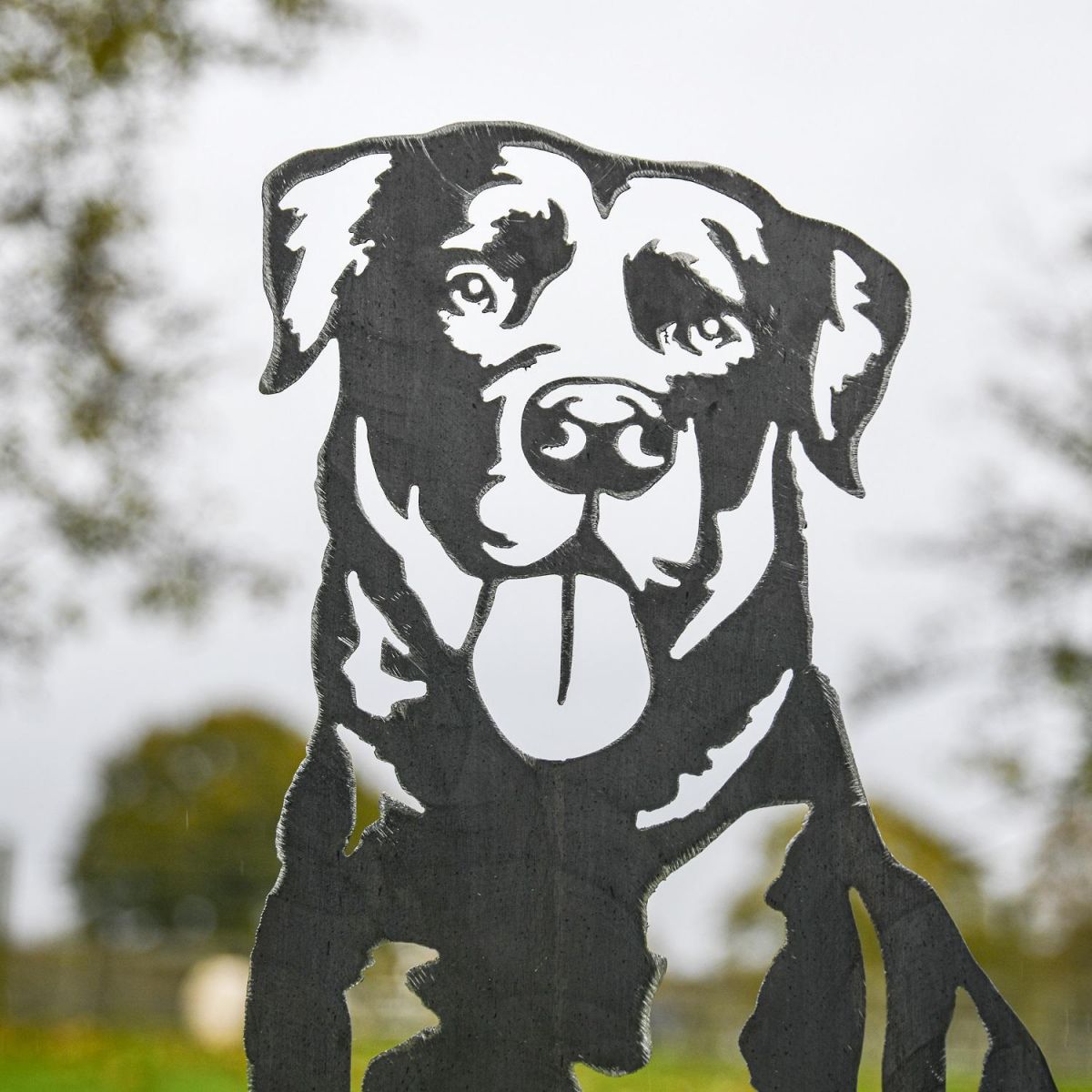 Close up of Labrador Silhouette in Unfinished Material 