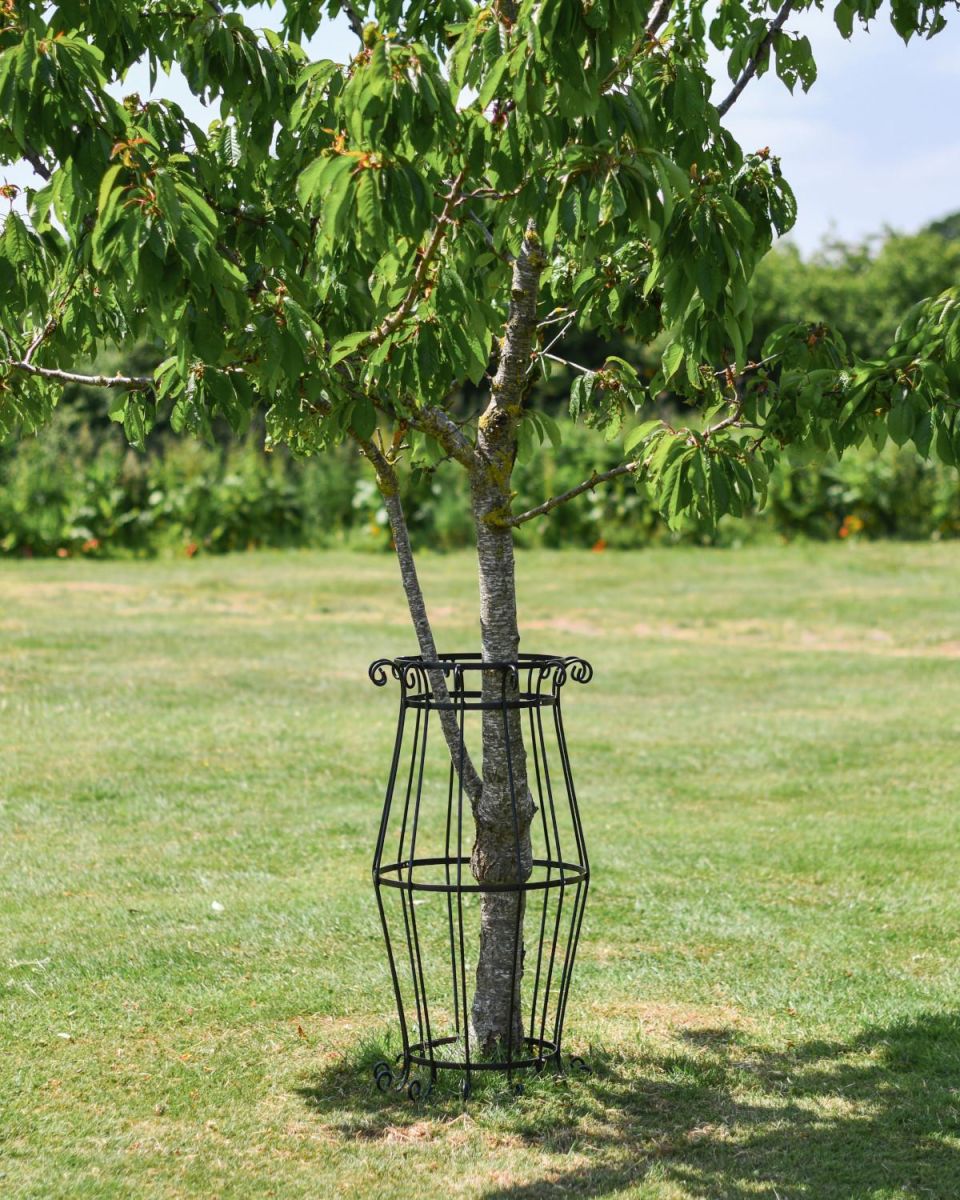 105cm Large Black "Augustus" Steel Tree Guard