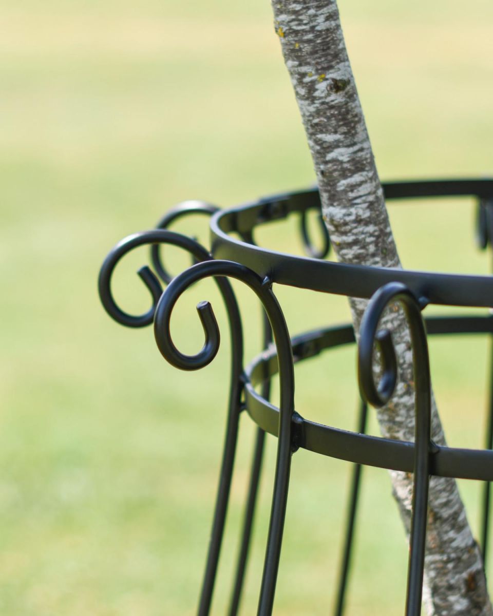 Large Black "Augustus" Steel Tree Guard - 105cm