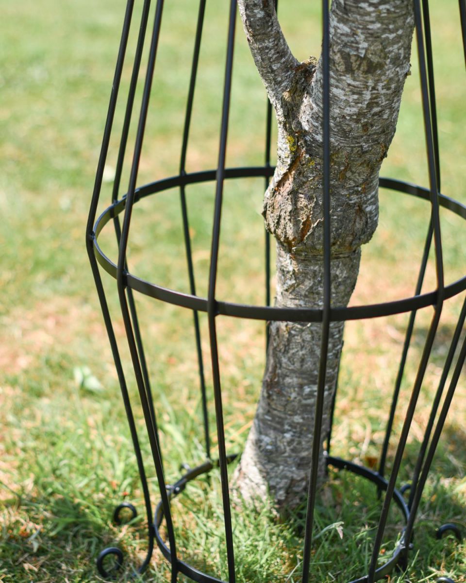 Close-Up of Large Black "Augustus" Steel Tree Guard