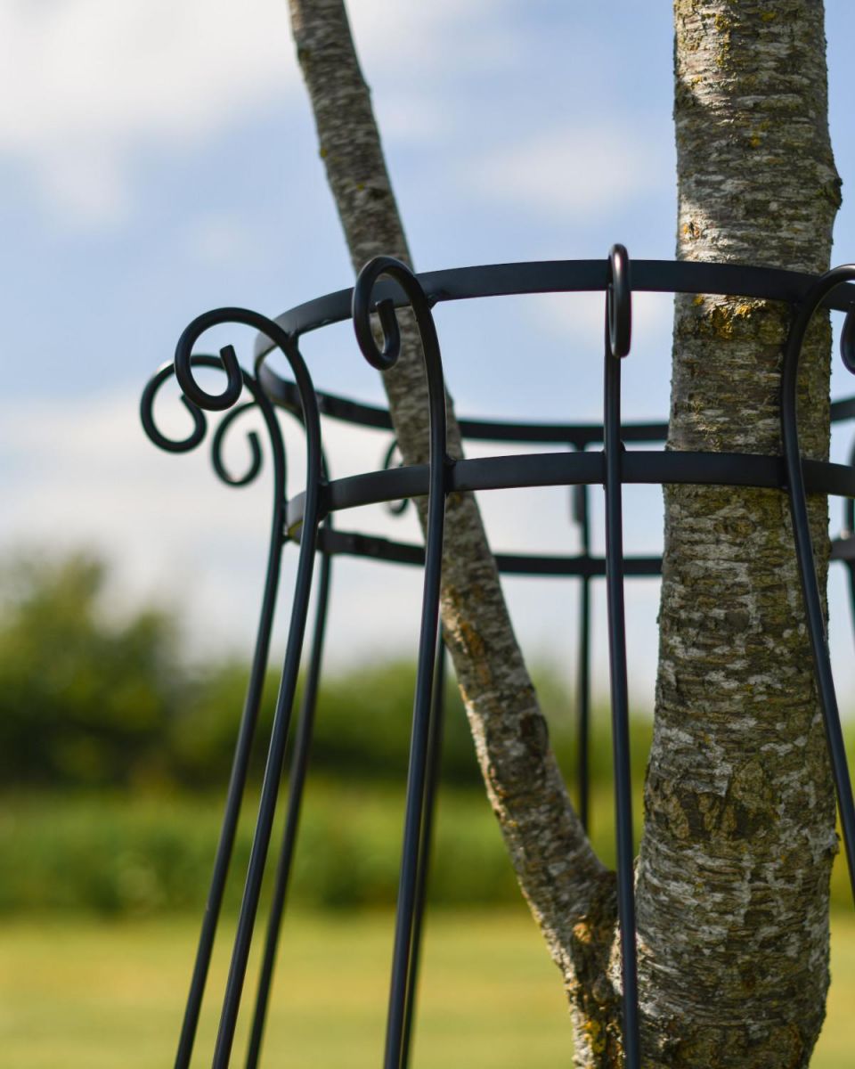 Close-Up of Black Steel Tree Guard