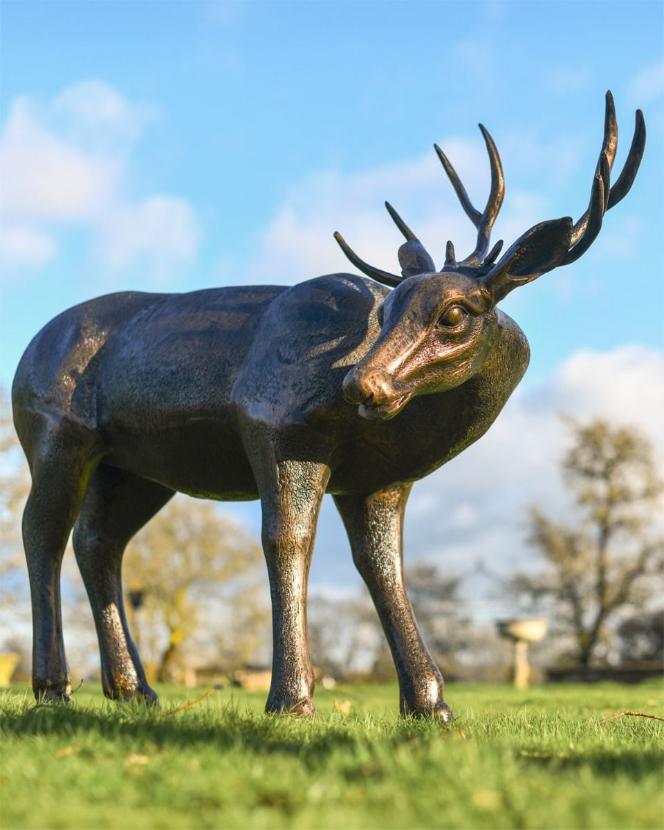 Close Up Of "Magnus" Buck Sculpture In Situ 