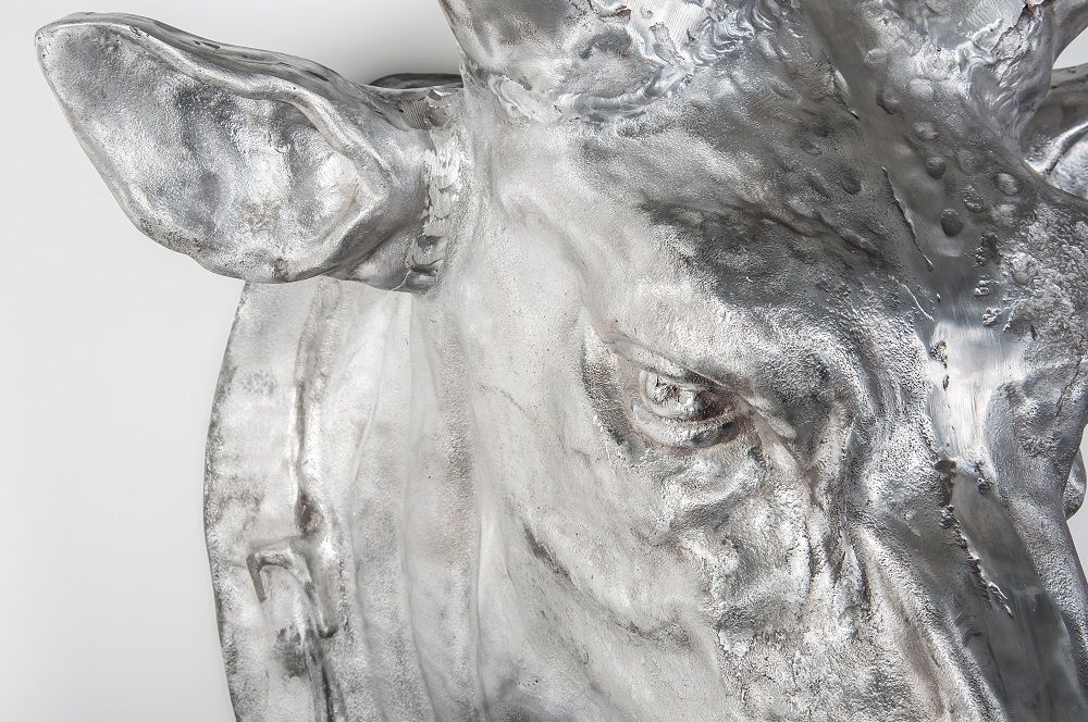 Large Wall Mounted “Pendleton Rodeo” Bull Bust