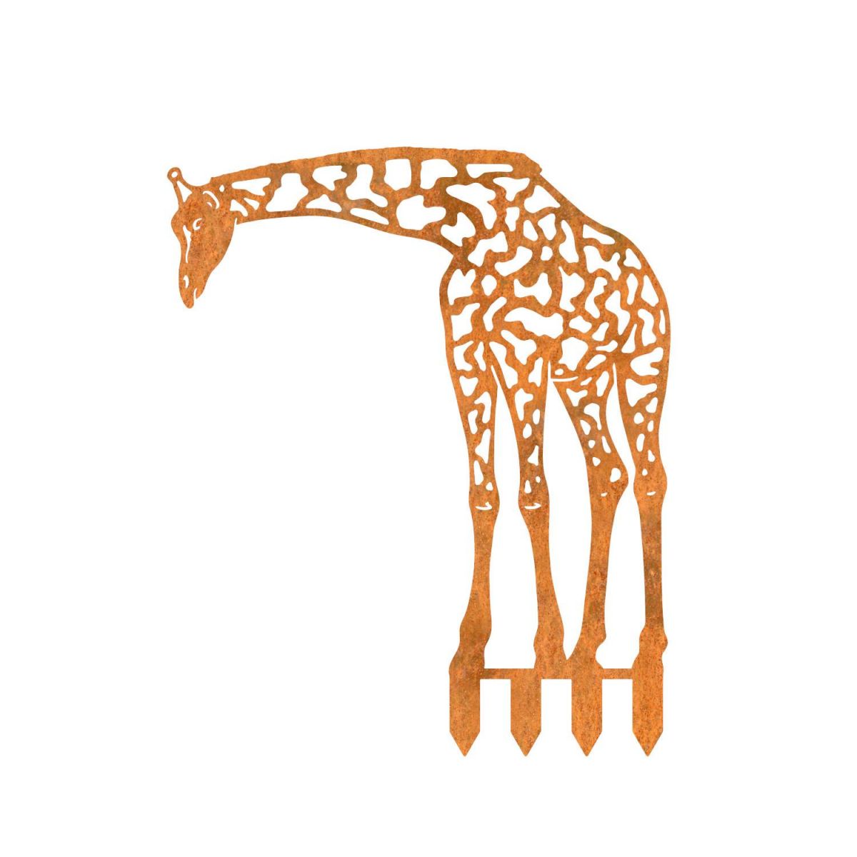 Rustic Drinking Giraffe Silhouette on White Background