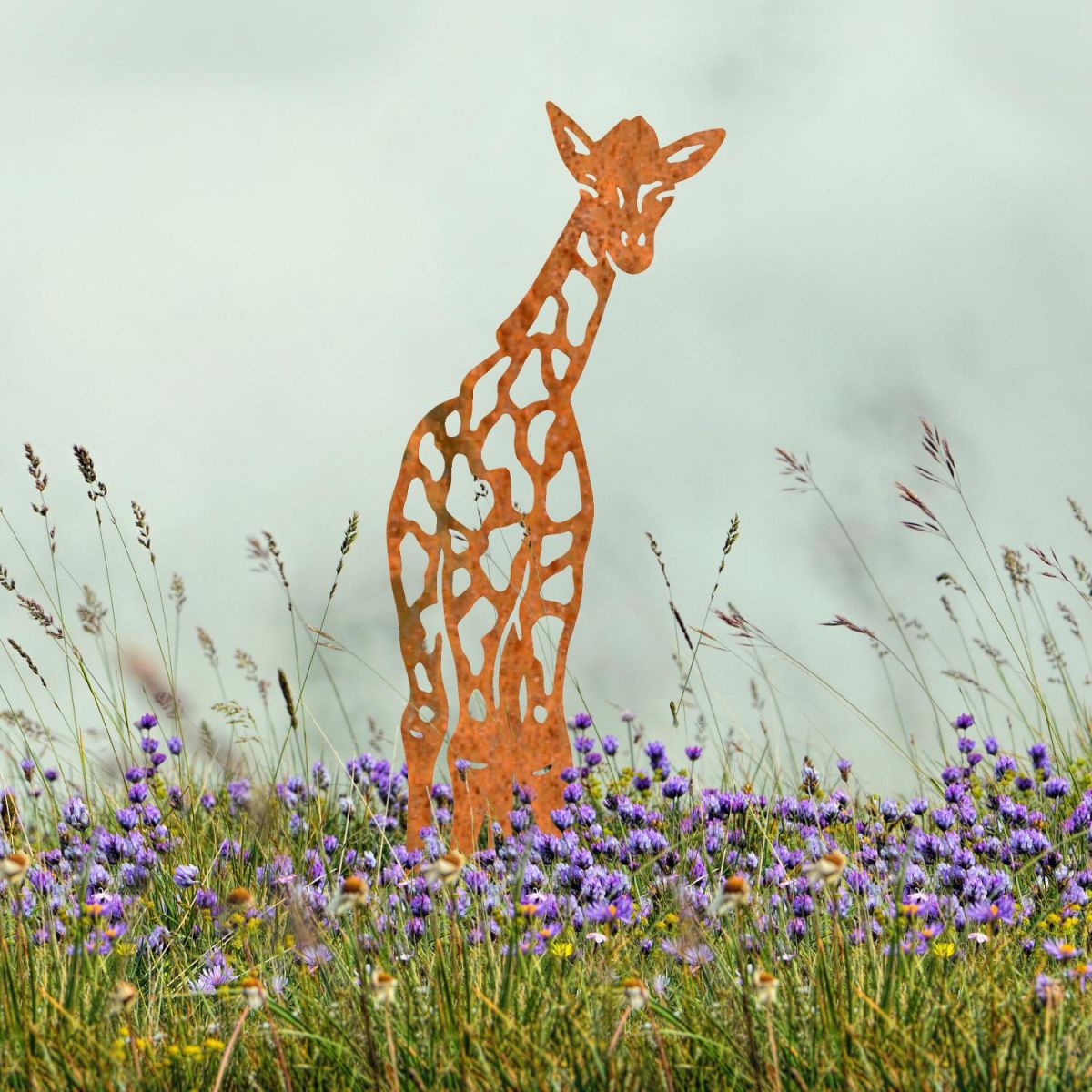 Rustic Baby Giraffe Silhouette in Situ