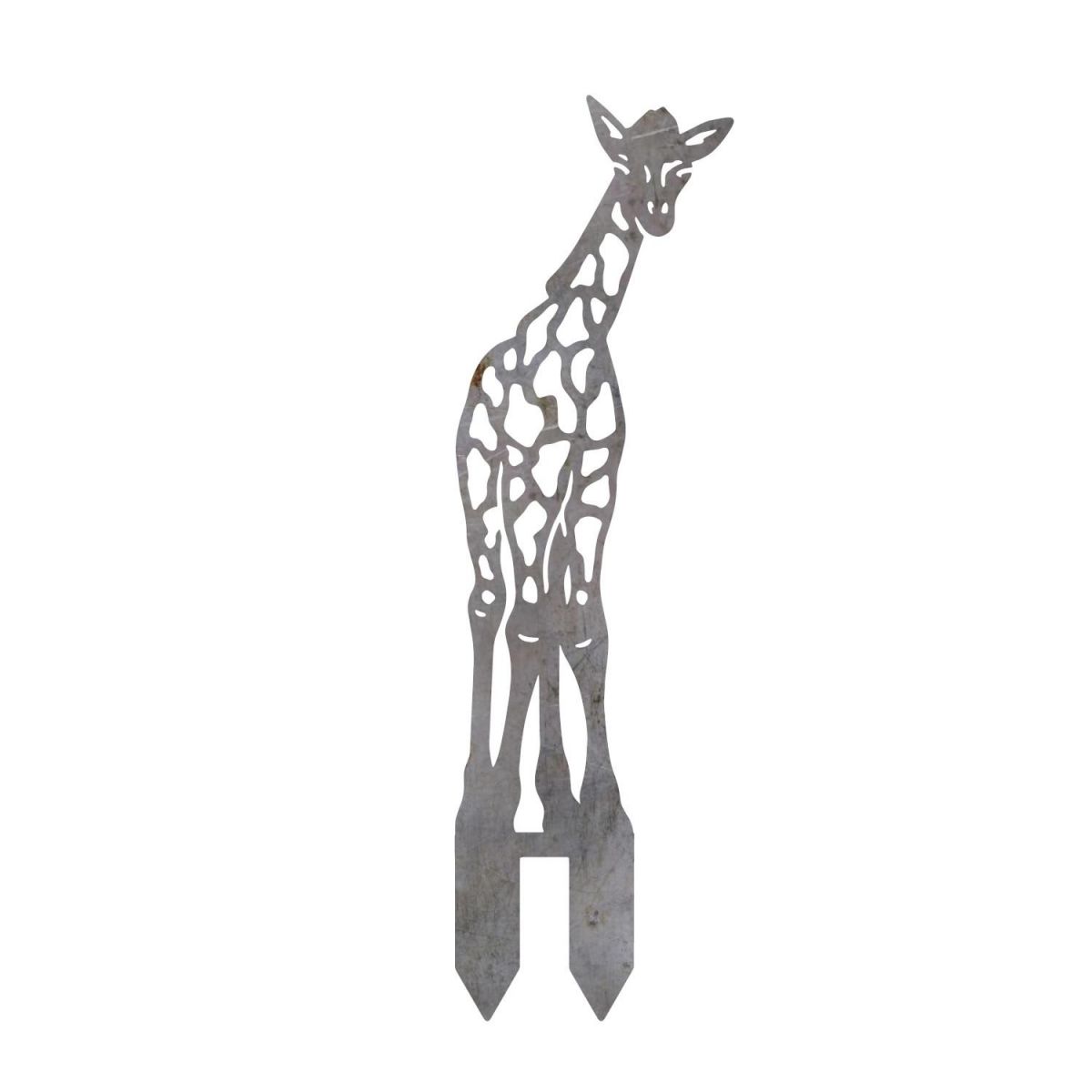 Natural Steel Baby Giraffe Silhouette on White Background