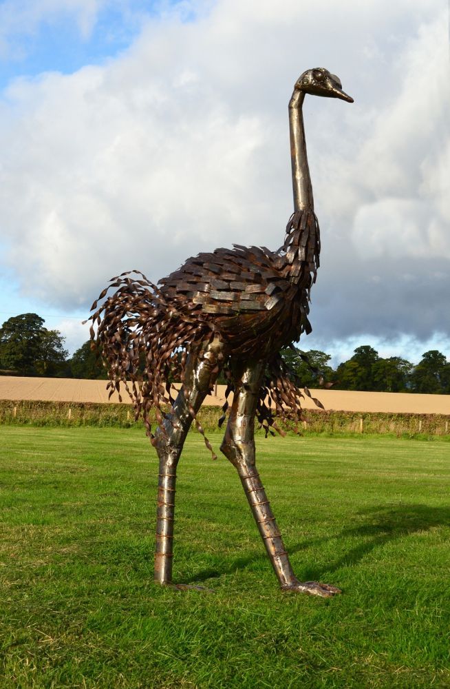 "Orinville" Large Ostrich Walking Sculpture