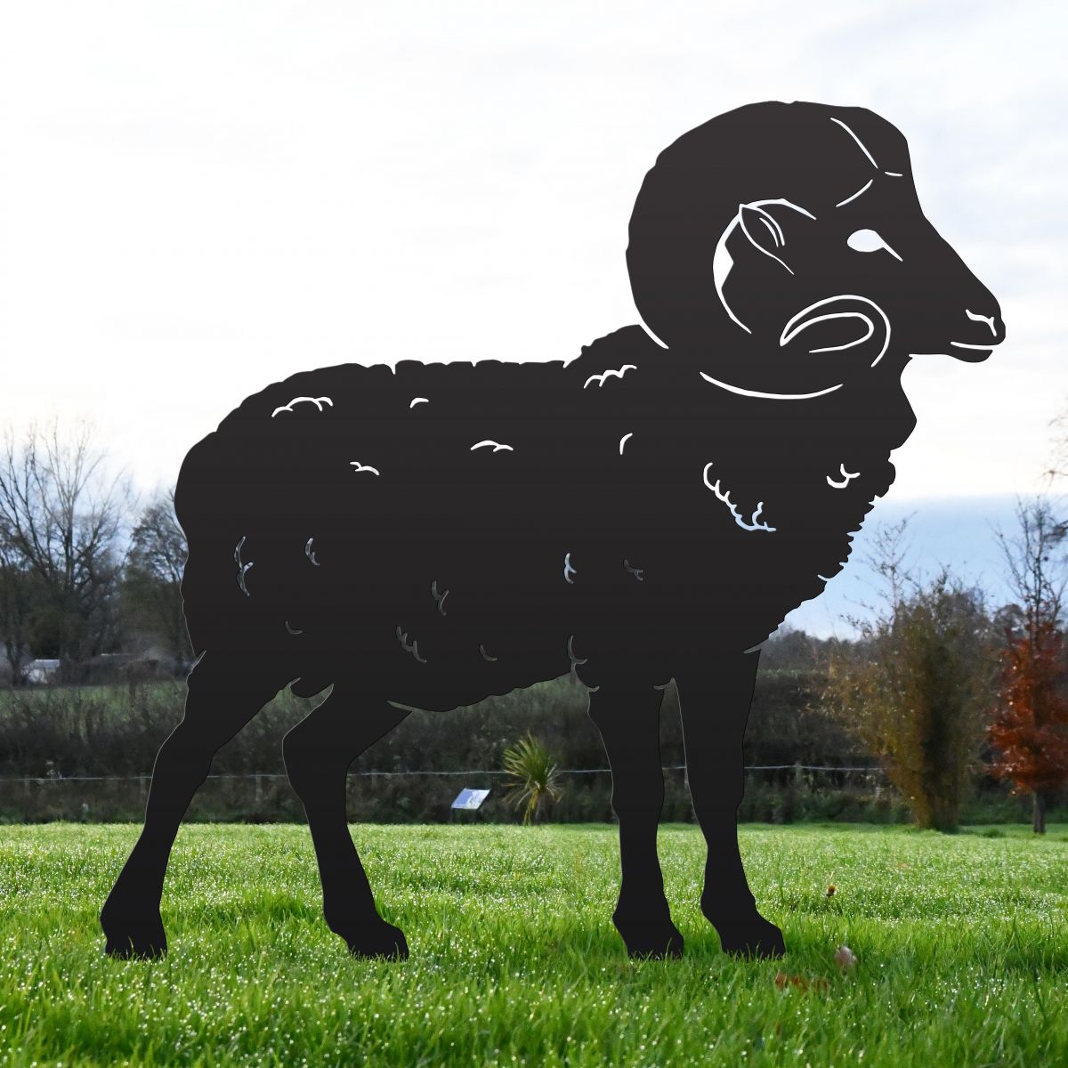 Black Silhouette of Large Ram 