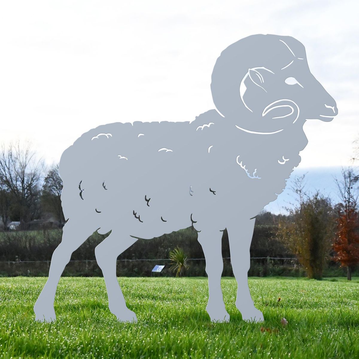 Silver Ram Silhouette in Situ in the Garden
