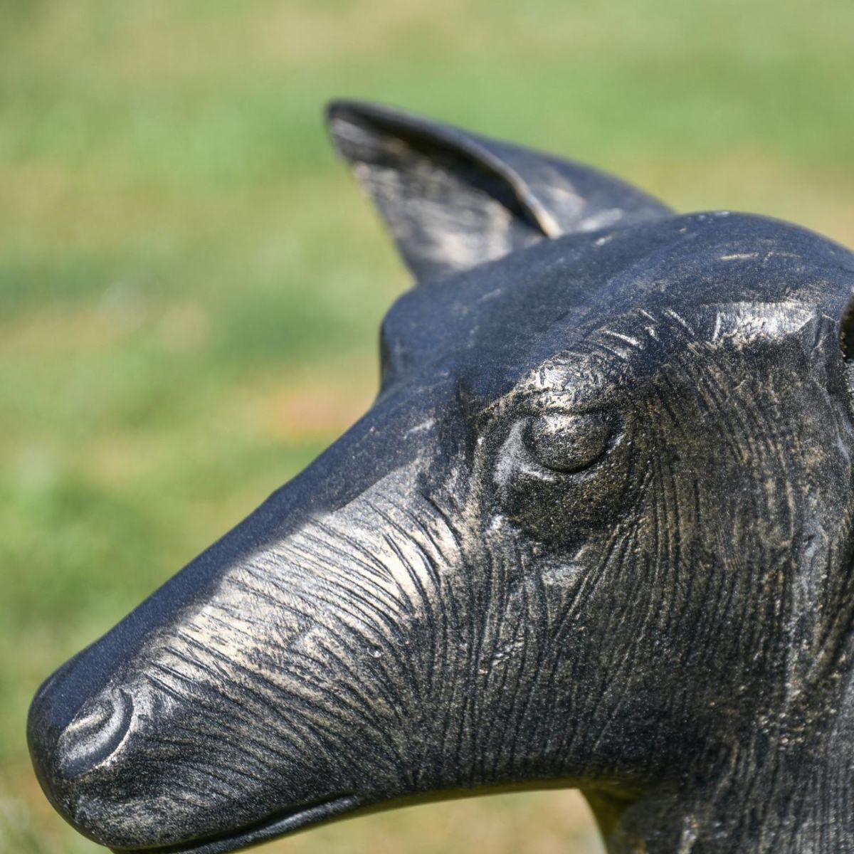 Close-Up of Lying Doe Face