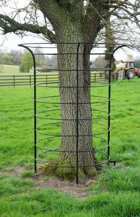 "Bewdley Birch" Large Tree Guard