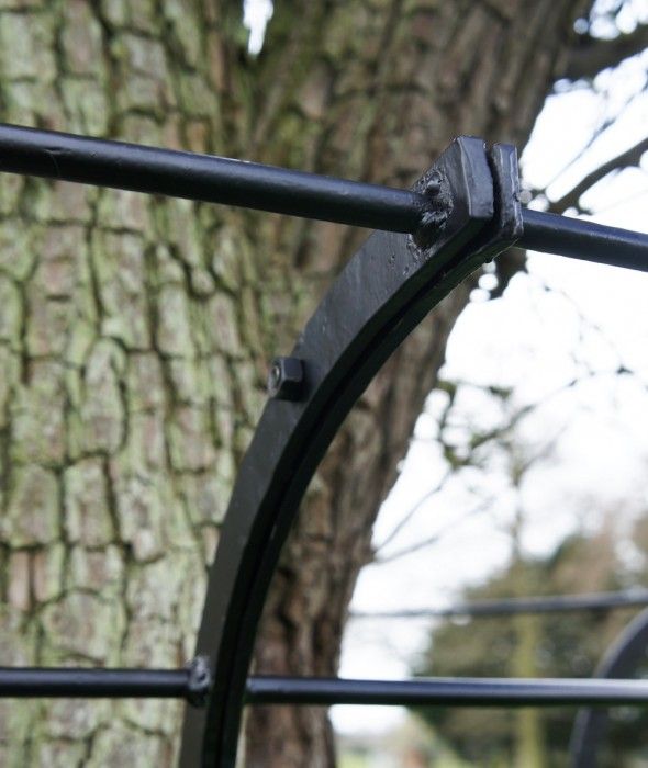 "Bewdley Birch" Large Tree Guard