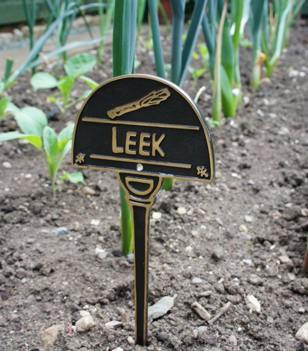 Vegetable Label - Leek