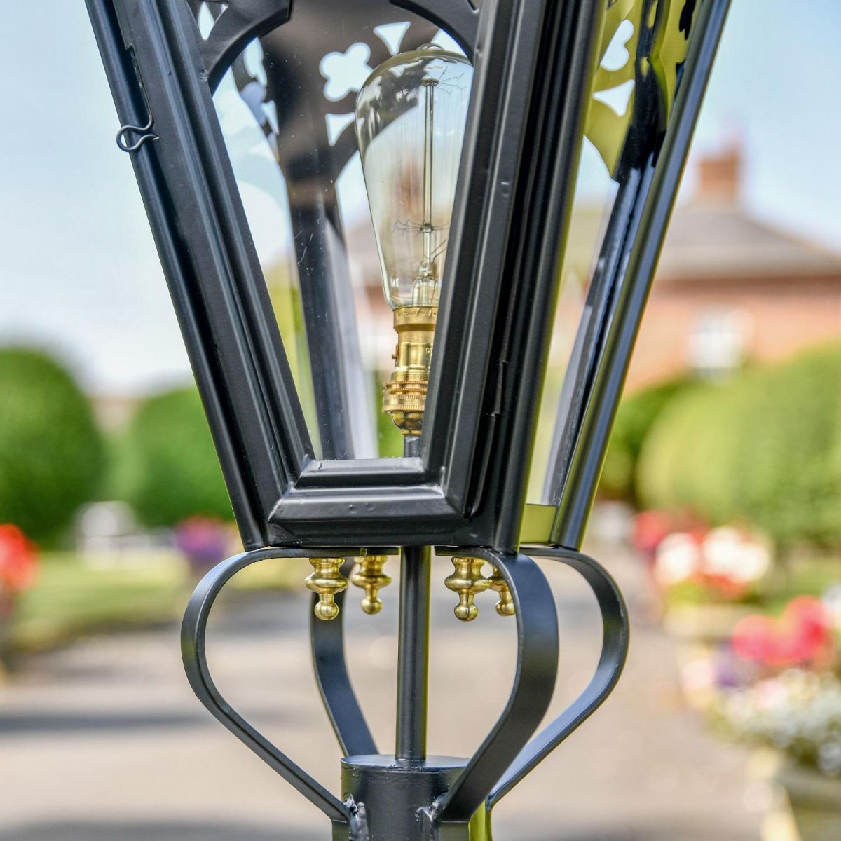 Close up of frog collar and built in bulb holder