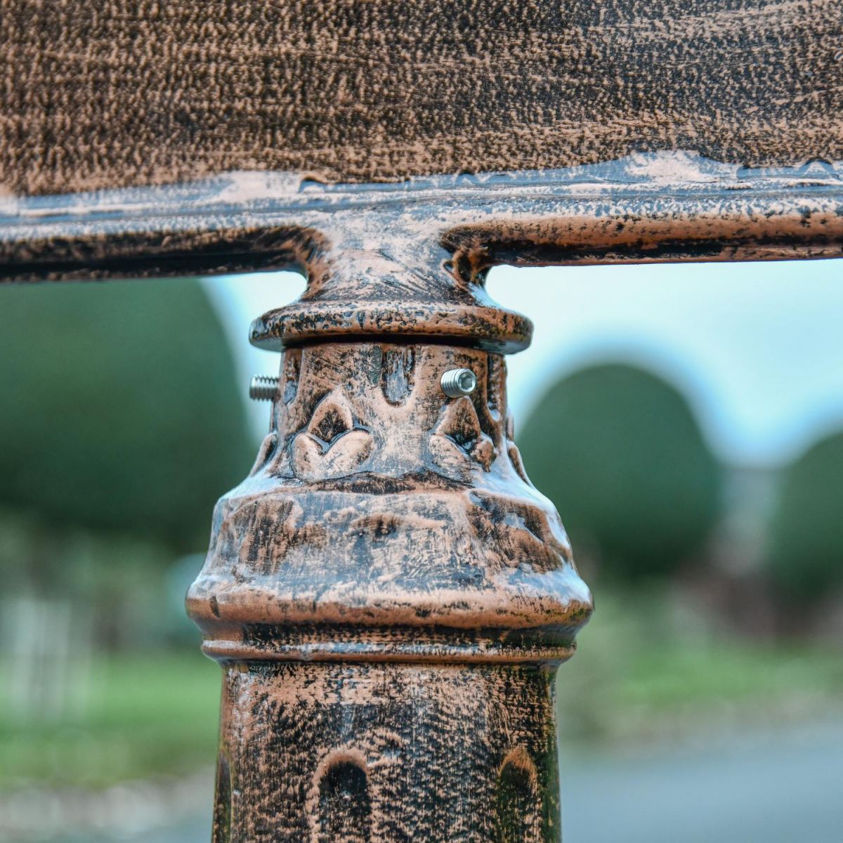 Close up of detailing on stem  Close up of detailing on stem