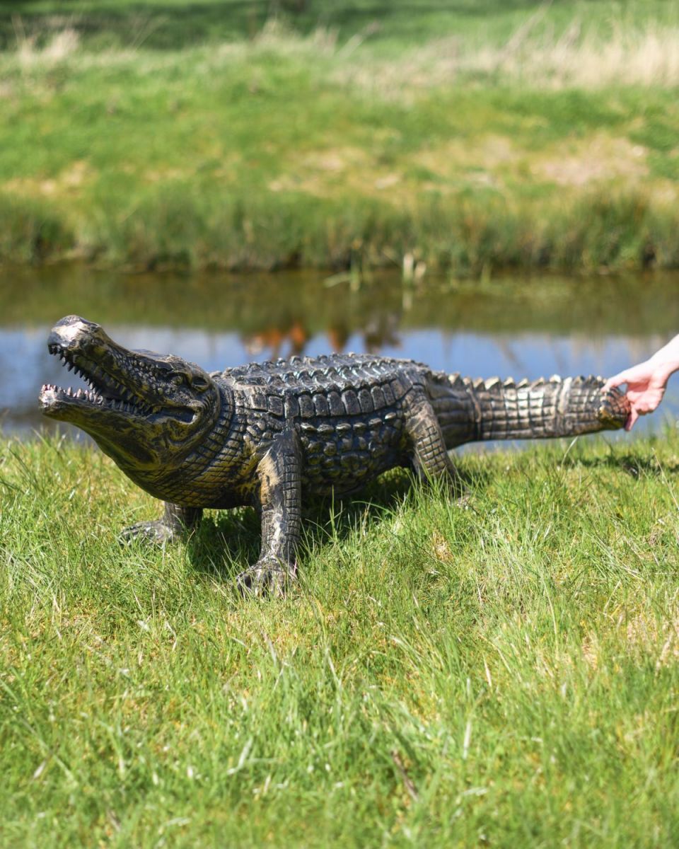Scale Shot of Life-Size Cast Aluminium Crocodile Garden Sculpture