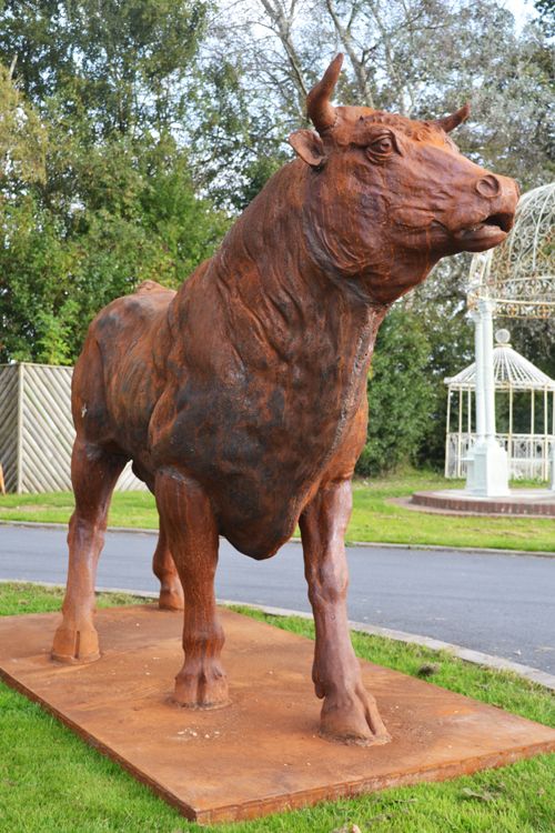 life size bull