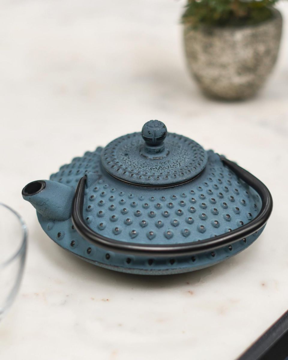 Light Blue & Black Cast Iron "Ushirode Kyusu" Japanese Style Teapot with Handle Down Light Blue & Black Cast Iron "Ushirode Kyusu" Japanese Style Teapot with Handle Down
