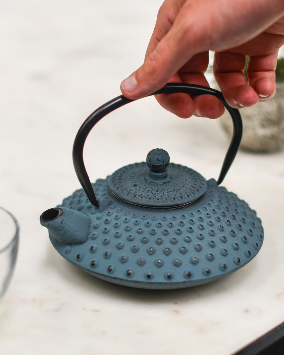 Scale Shot of Light Blue & Black Cast Iron "Ushirode Kyusu" Japanese Style Teapot Scale Shot of Light Blue & Black Cast Iron "Ushirode Kyusu" Japanese Style Teapot