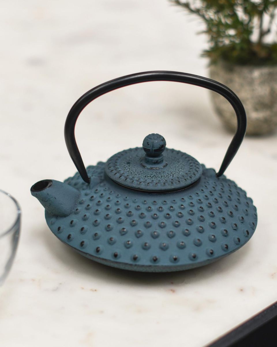 Light Blue & Black Cast Iron "Ushirode Kyusu" Japanese Style Teapot in Situ Light Blue & Black Cast Iron "Ushirode Kyusu" Japanese Style Teapot in Situ