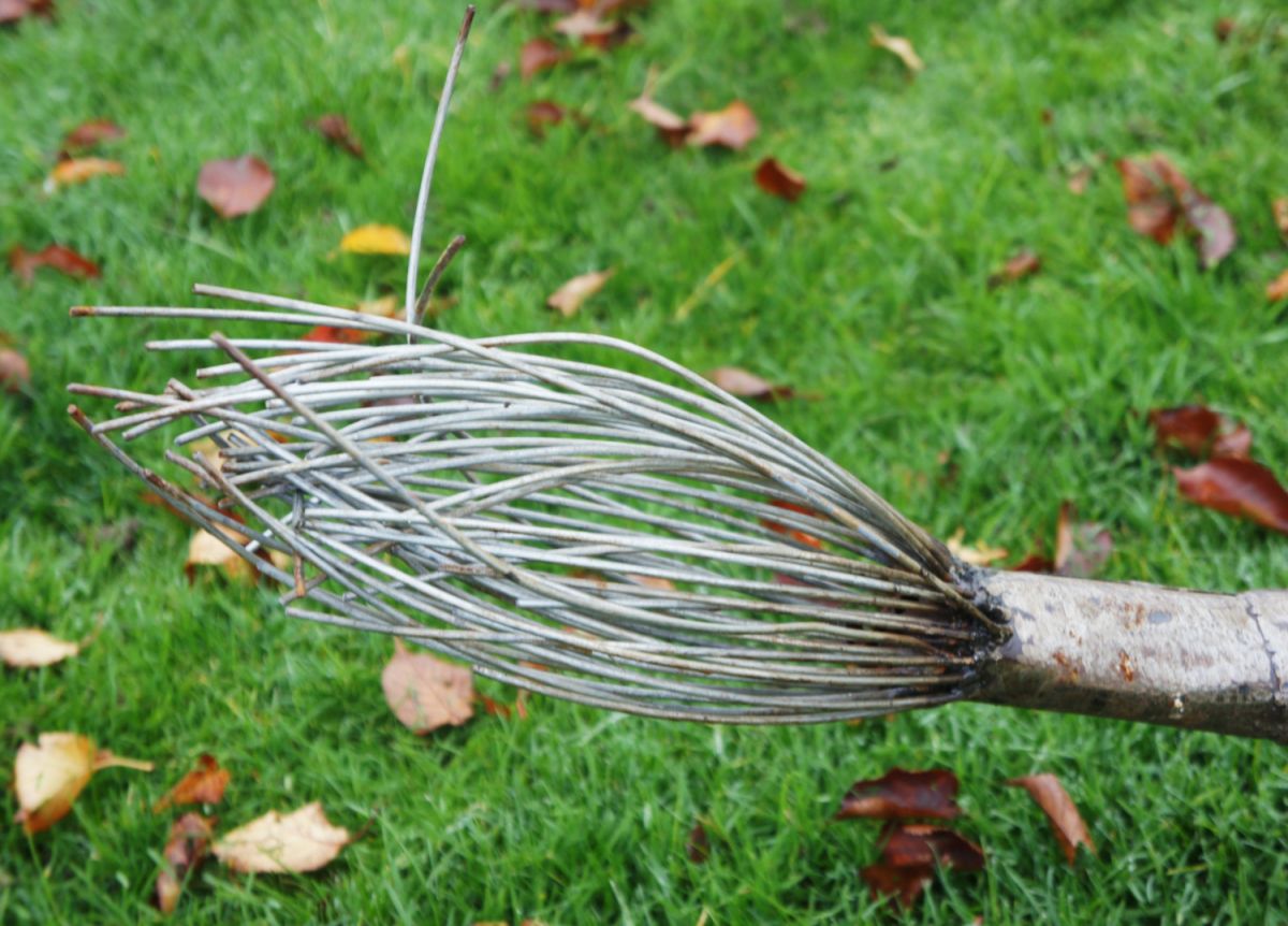 “Aslana Lioness" and "Prince of the Pride Lion” Garden Sculpture
