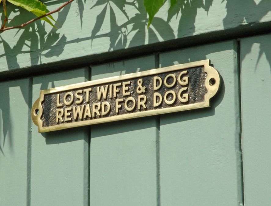Lost Wife & Dog Reward For Dog Lost Wife & Dog Reward For Dog