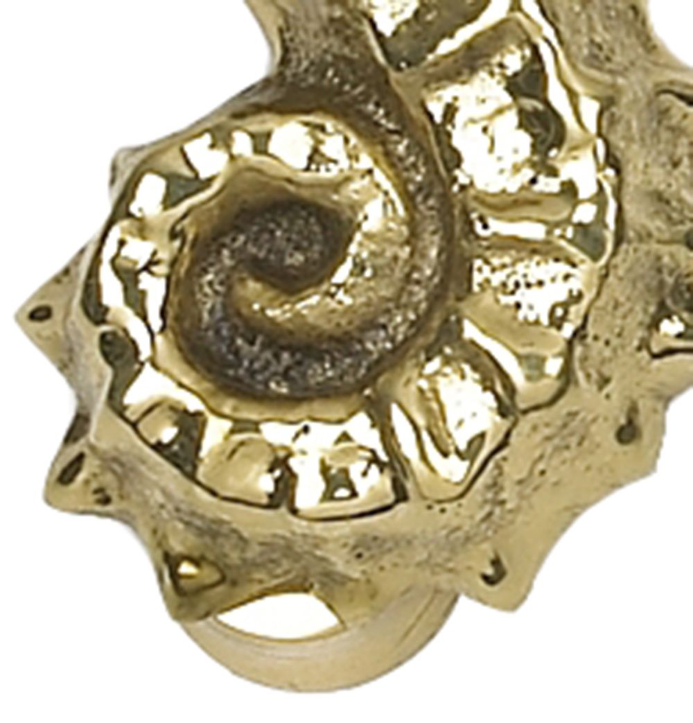 Polished Brass Seahorse Door Knocker