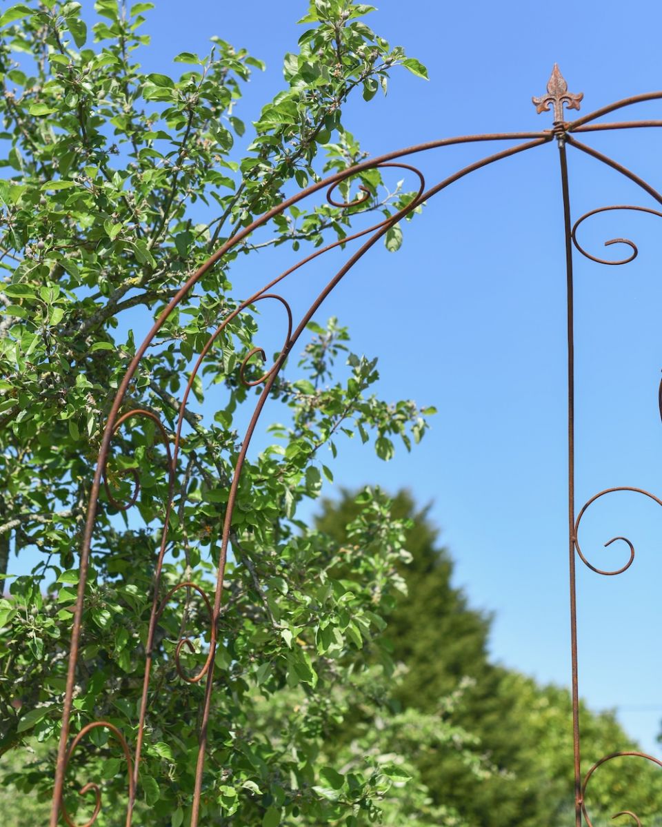Close up of curved top and ornate details on metal gazebo Close up of curved top and ornate details on metal gazebo