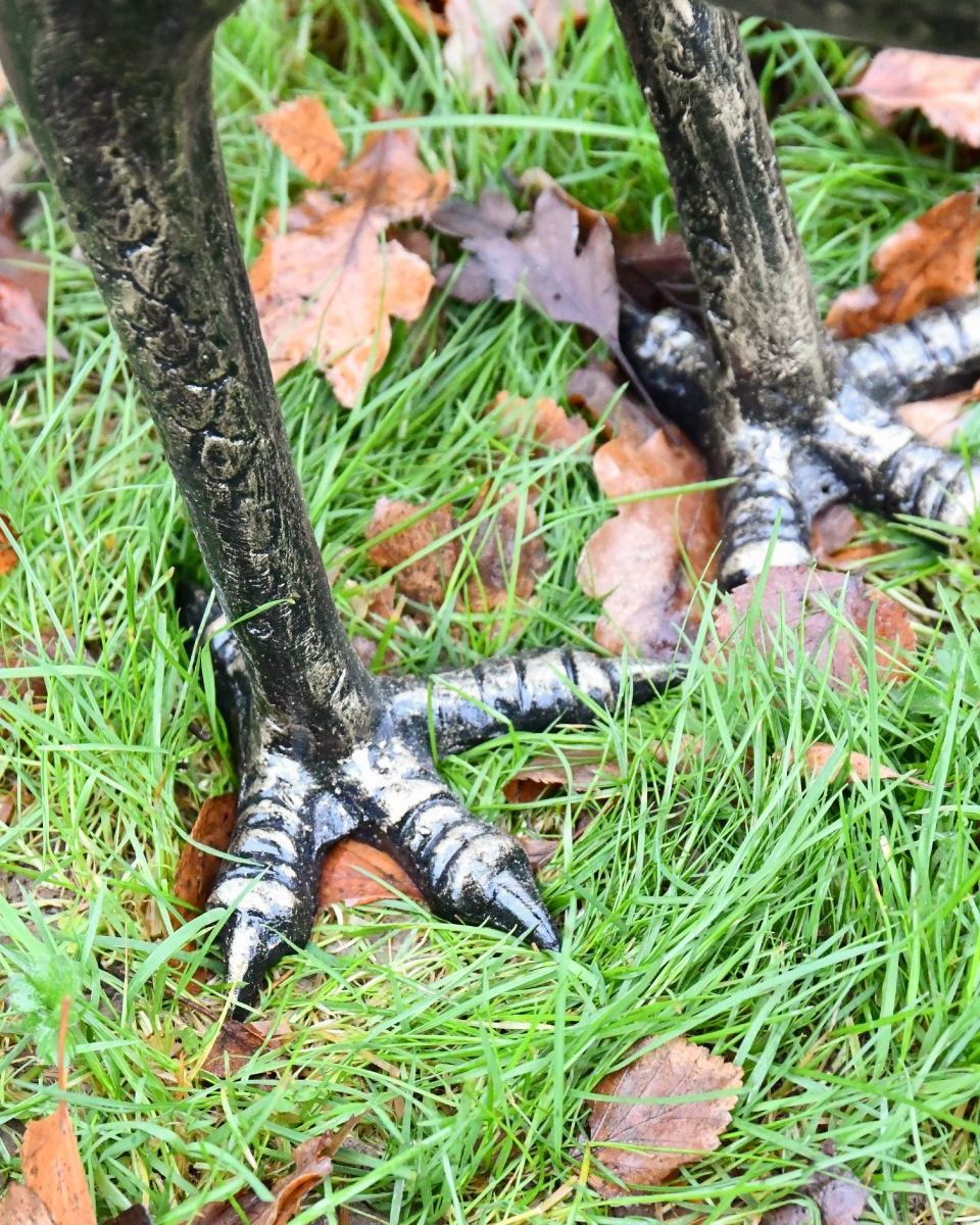 Close-up of the Feet on the Majestic Peacock Sculpture