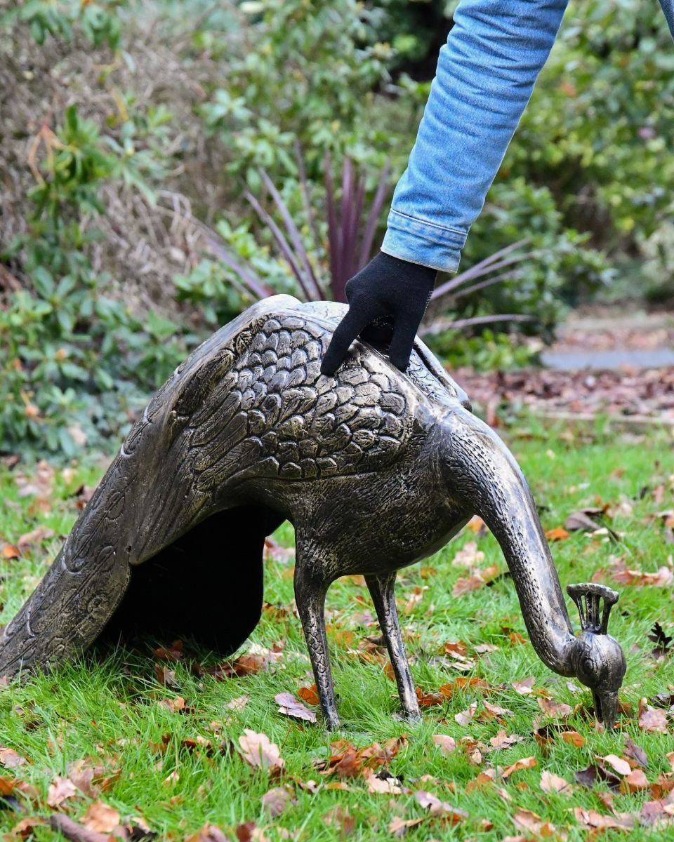 Majestic Peacock Sculpture to Scale