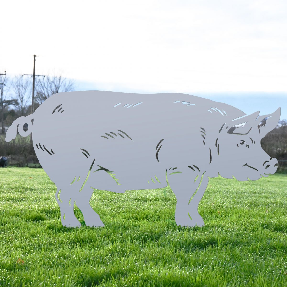 Silver Pig Silhouette 