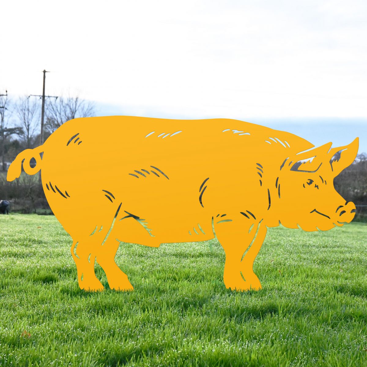 Yellow Pig Silhouette in Situ 
