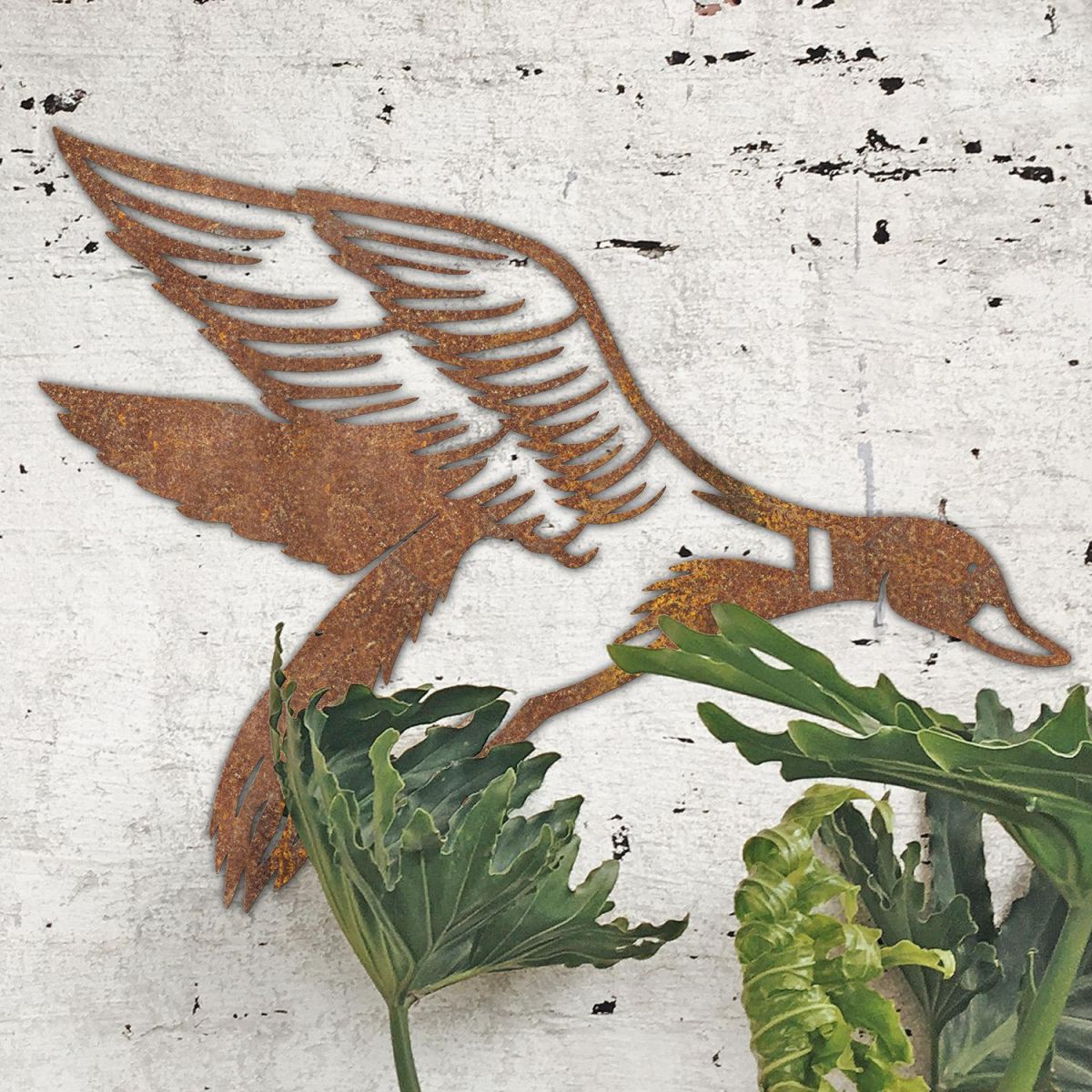 "Mallard" Duck Wall Art in Situ on a Rustic White Wall