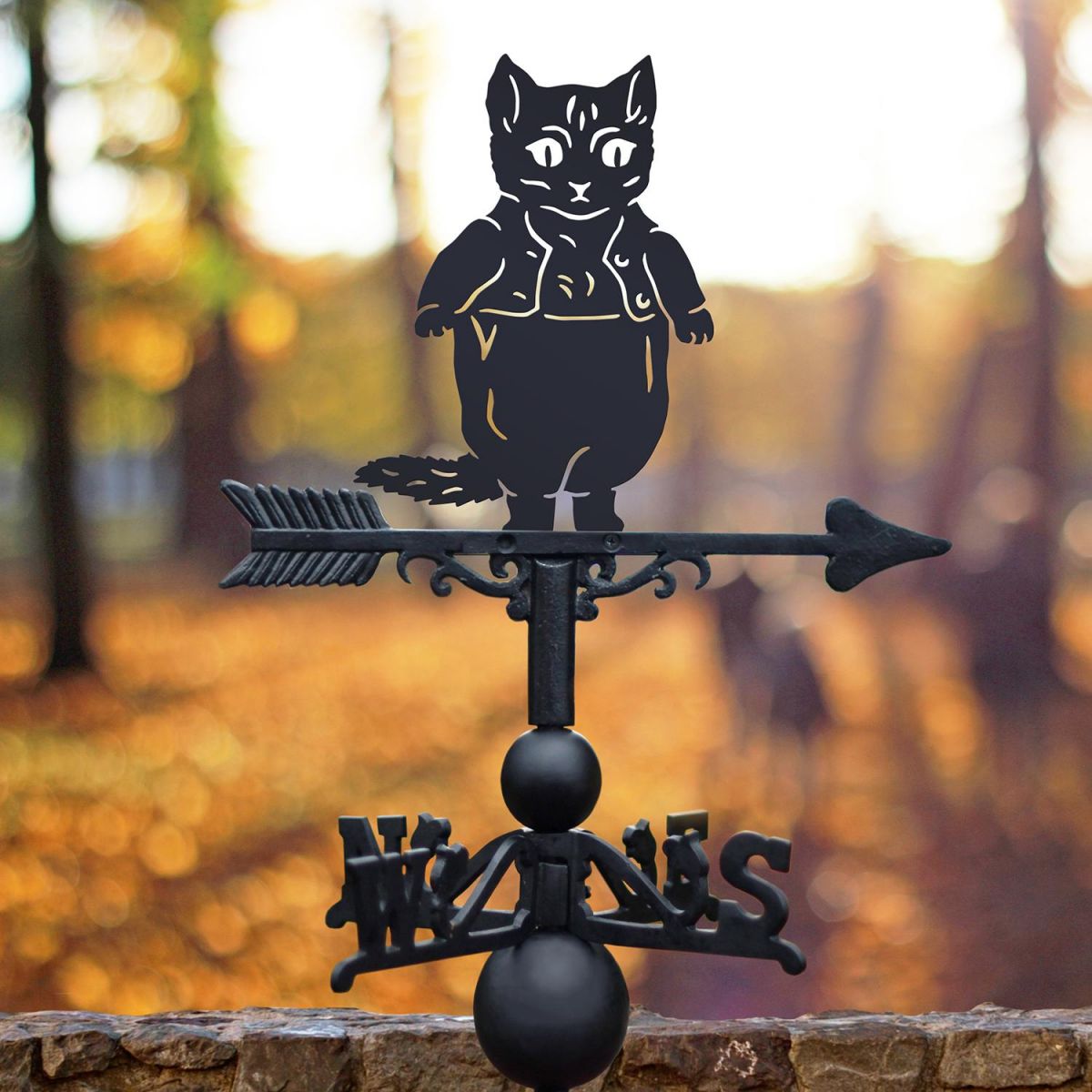 Black Master Tom Kitten Weathervane on Autumn leaves background  Black Master Tom Kitten Weathervane on Autumn leaves background