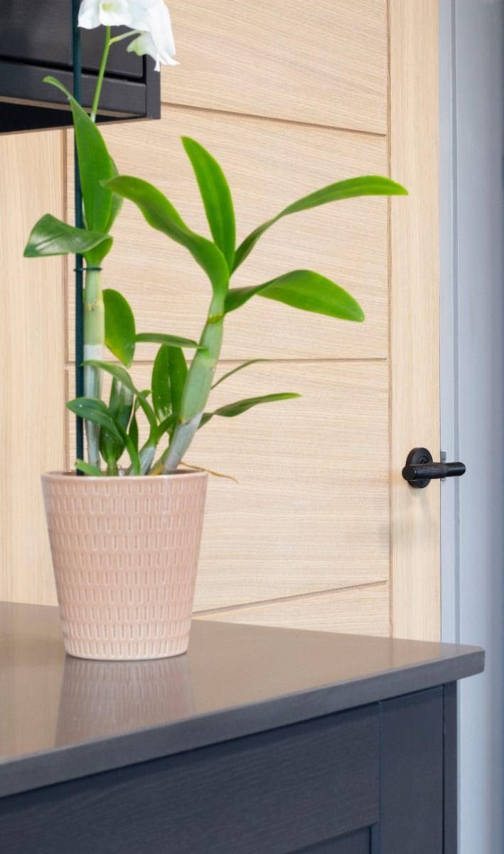 Matte Black Textured Unsprung Lever Door Handle on Beehive Rose in Situ Matte Black Textured Unsprung Lever Door Handle on Beehive Rose in Situ