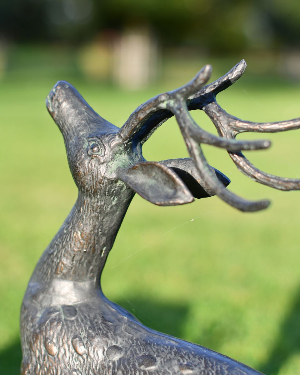 Close-up of the Head on the Stag Sculpture