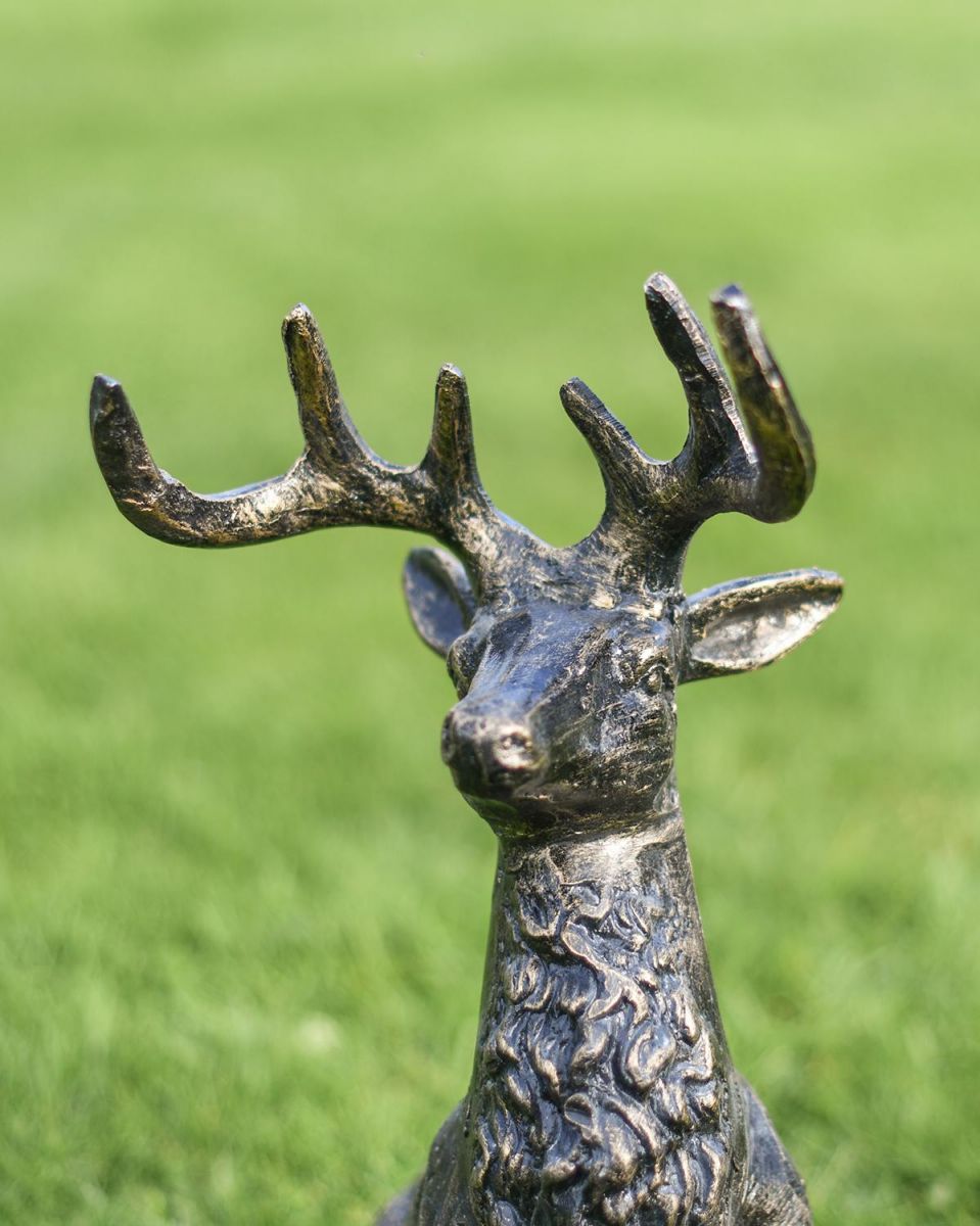 Cat Aluminium Antlers on the top of the Bucks Head