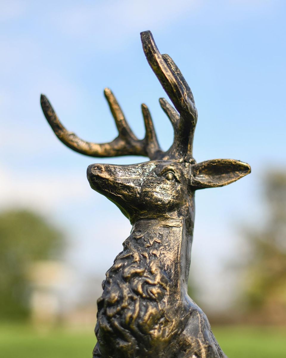Close-up of the Detail on the Bucks Face