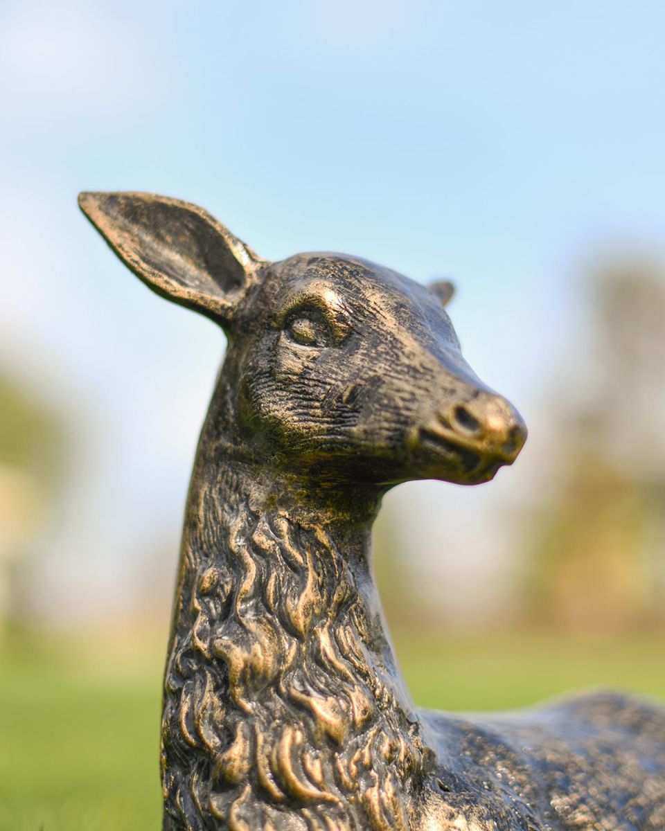 Close-up of the Detail on the Head of the Doe