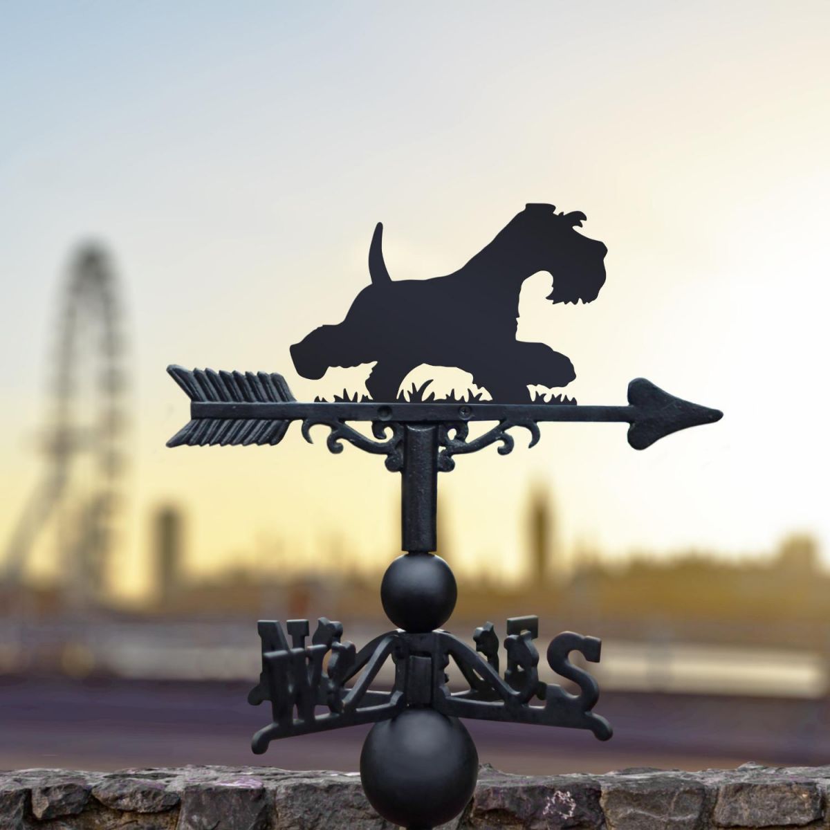 Minitiature schnauzer running weathervane in the city