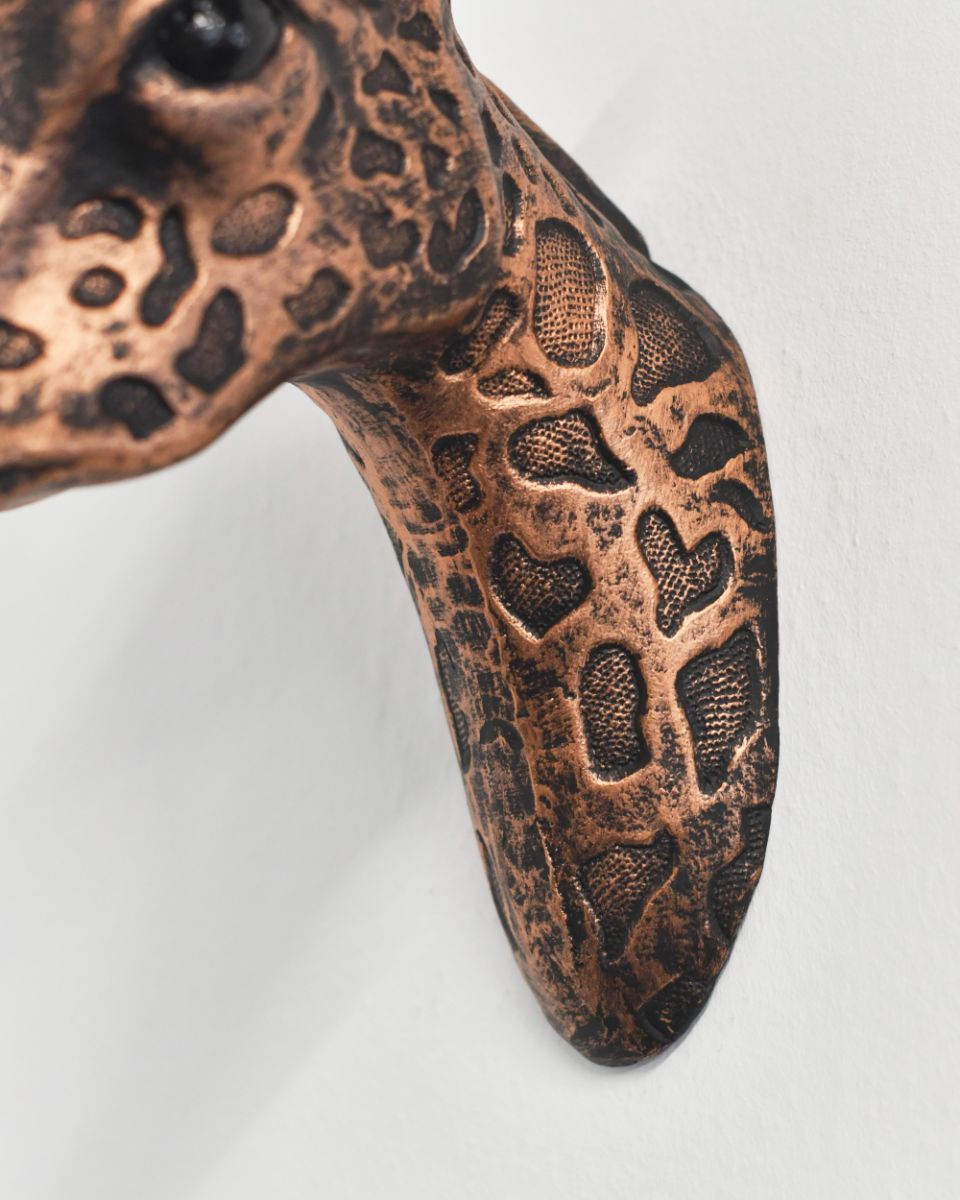 Giraffe Bust Mounted On The Wall In The Home